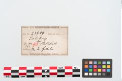 Etiketten zu Bronzebrillenfibel (NHMW-PRAE-023989)